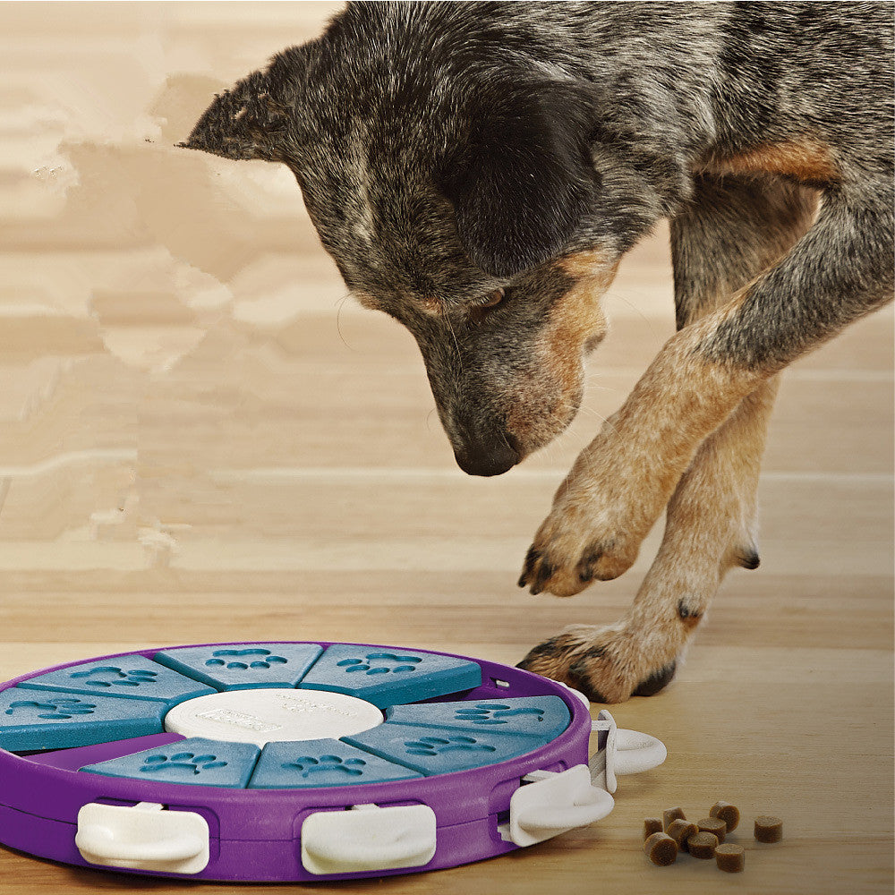 Engaging Dog Treat Toy