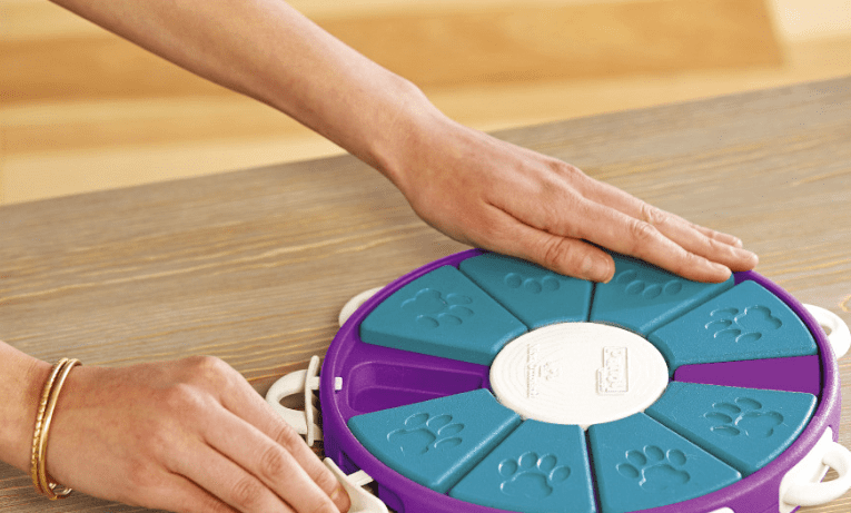 Engaging Dog Treat Toy