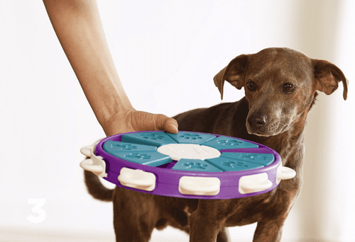 Engaging Dog Treat Toy